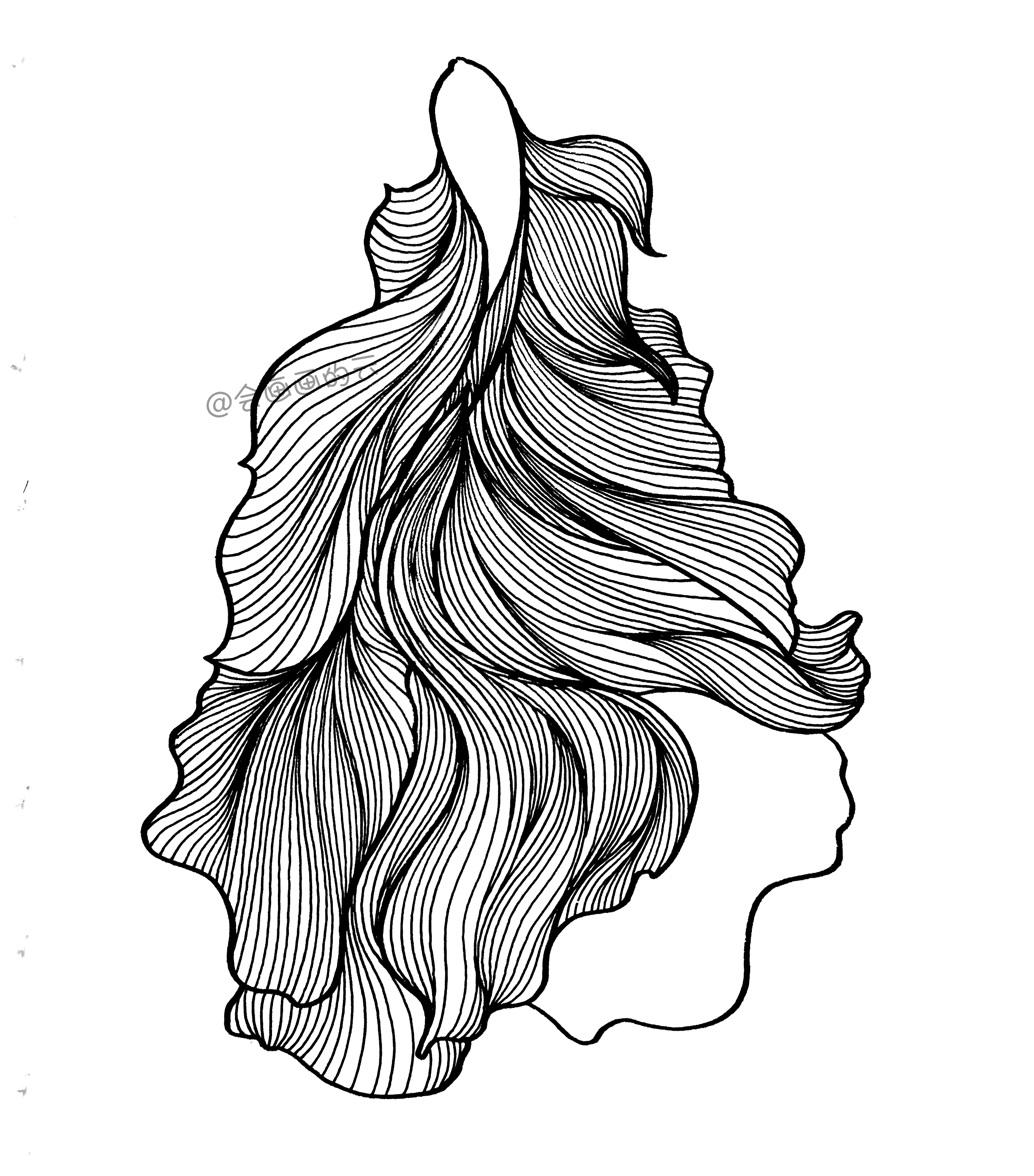 3款简笔画金鱼，零基础也可以画的线描画