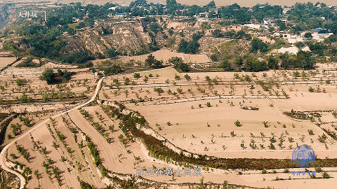 西北大学 | 国家级一流专业之考古学