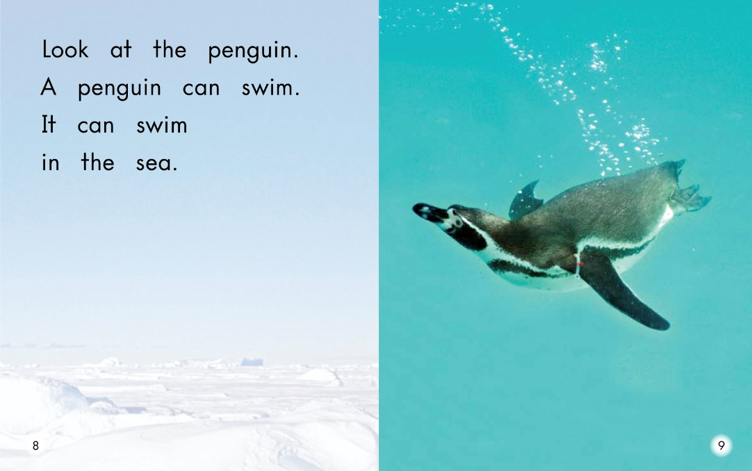 企鹅英语怎么读(英语有声绘本阅读)