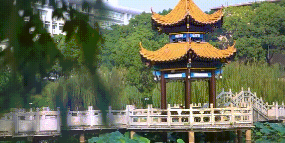 湘潭大学：2020年共78个专业(类)计划招生6000人