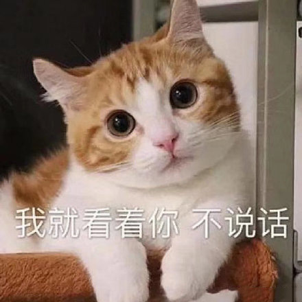 猫咪表情包合集｜我没事，我很快乐