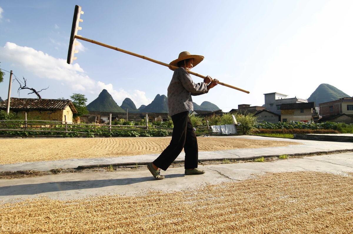 老农赤脚插秧后肚子痛,医生在肠道里发现"葱丝样"的寄生虫