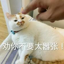 猫咪威胁表情包｜你说完了没有