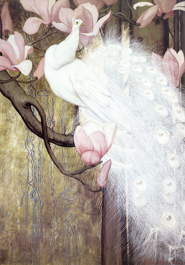 孔雀东南飞！高贵、冷艳的白孔雀