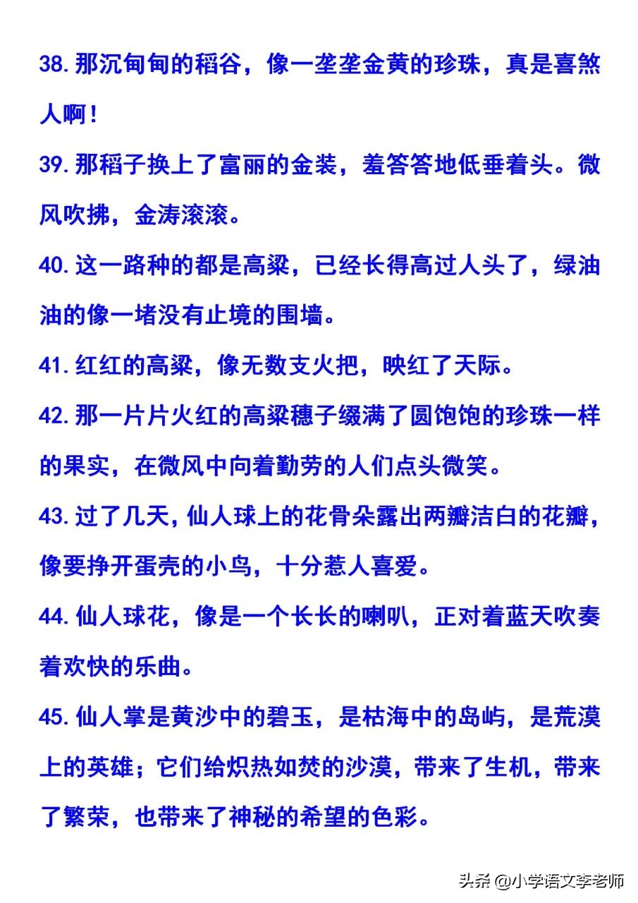 拟人句、比喻句、排比句精选，收藏起来，孩子写作不愁没素材