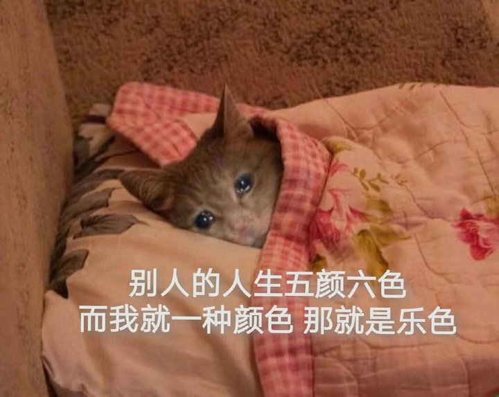 首个淘宝沙雕日来了我的快乐源泉喷了