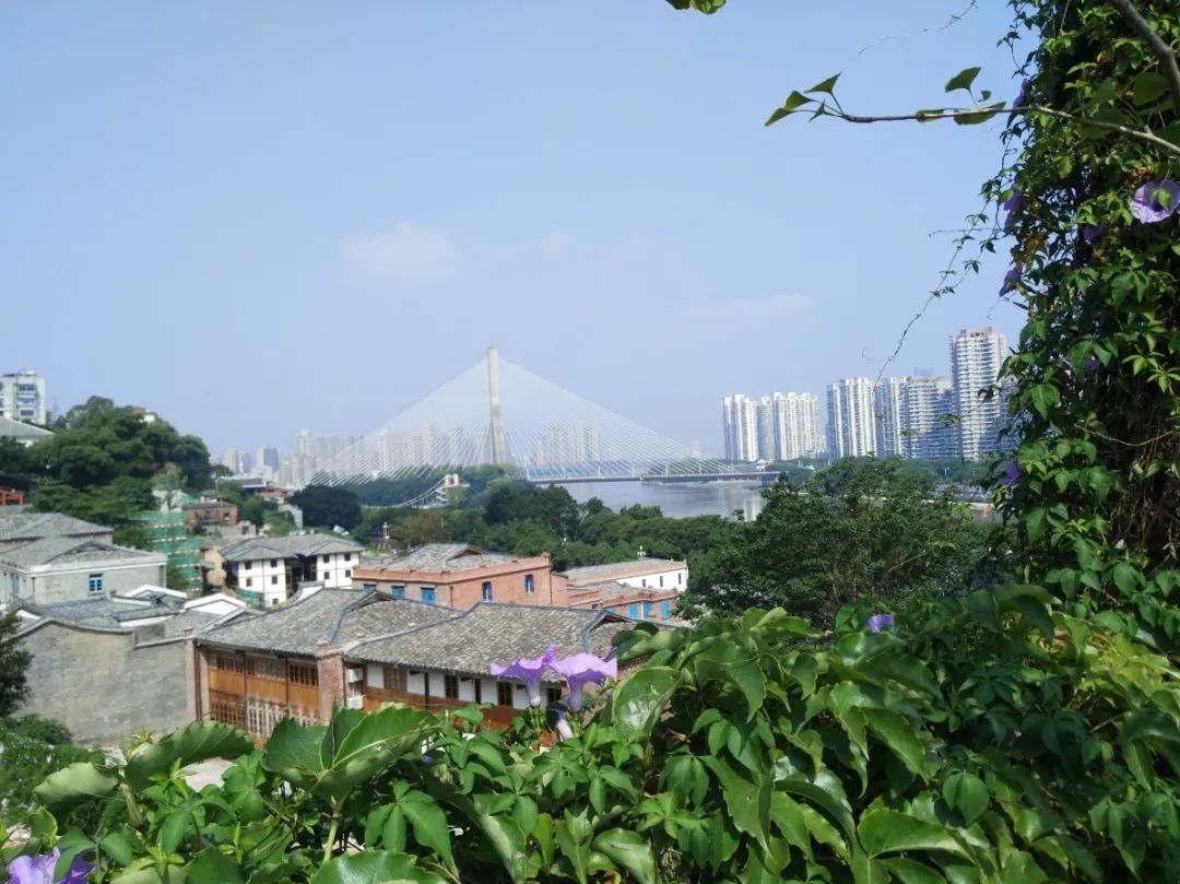 黑马！拿下高考文科最高分！走近“烟台山之巅”—福州高级中学