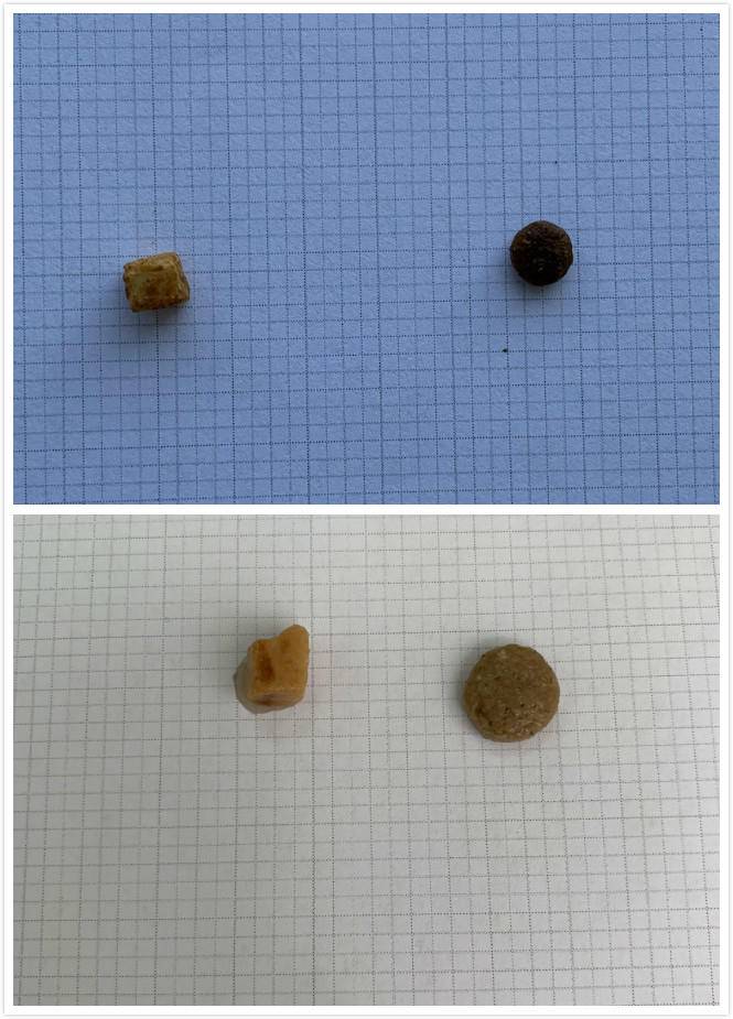 新手养猫必看，十款主流进口和国产冻干猫粮横评，上篇