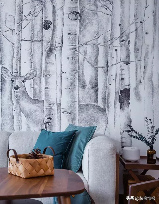 壁纸、乳胶漆、硅藻泥，你分得清吗？