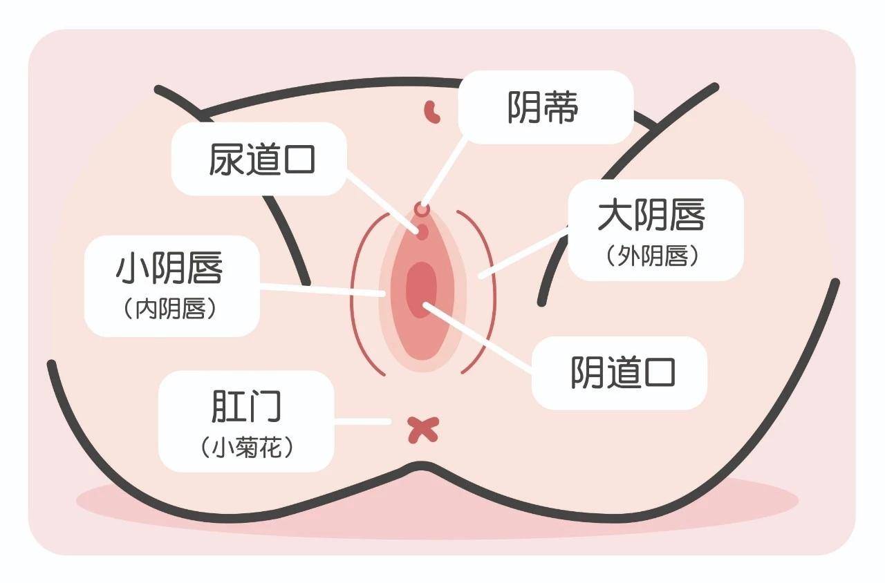 女宝私部“白带”，需要洁尔阴洗液？男宝、女宝私部护理看这里