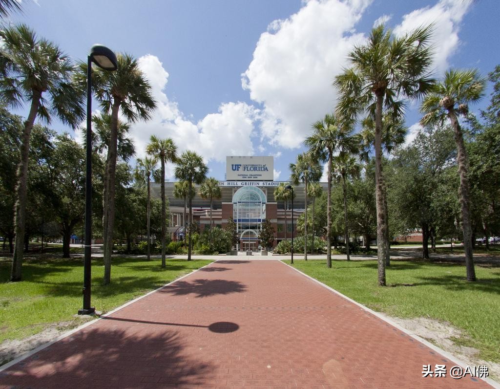 美国每个州最好的大学