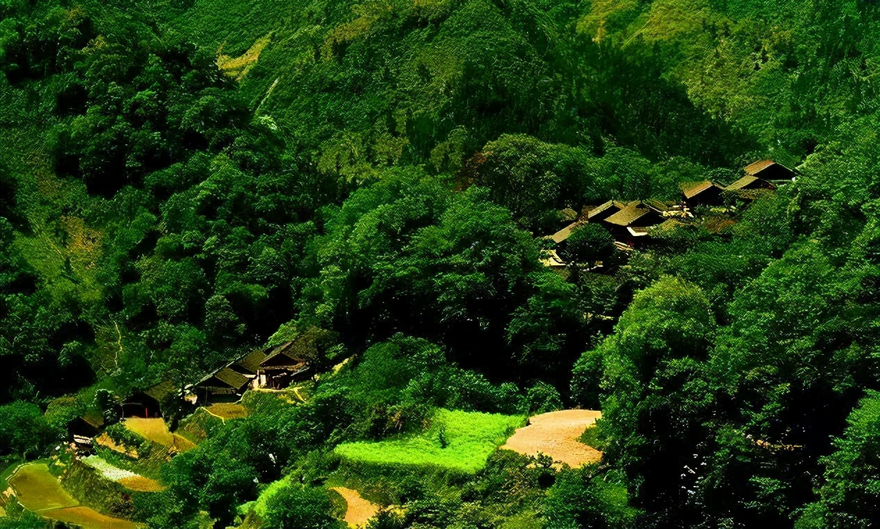 愿有个菜园，低头种菜，抬头看花；春天播种，秋天收获