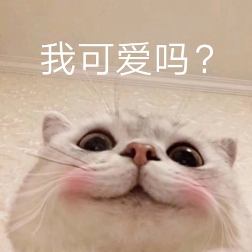 斗图表情包合集｜我这个悲伤的美丽女人