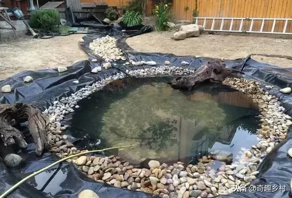 院子里应该有个小池塘，没有就自己动手挖个！（附实际操作图）
