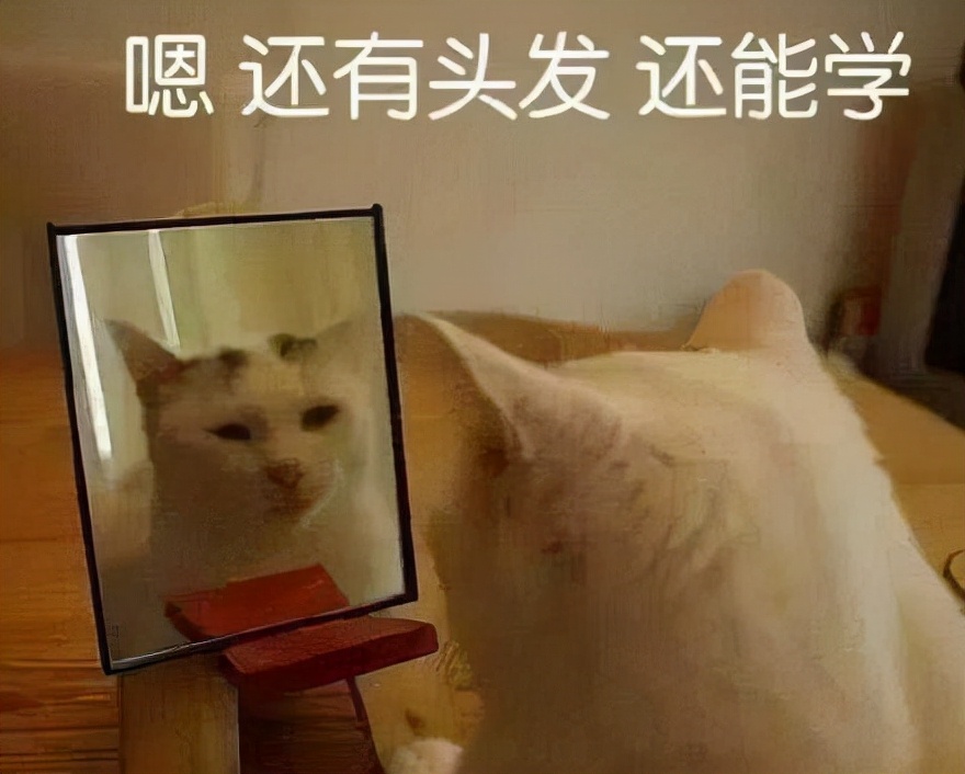 高考，考上本科有多难？看2021年高考录取数据就知道了