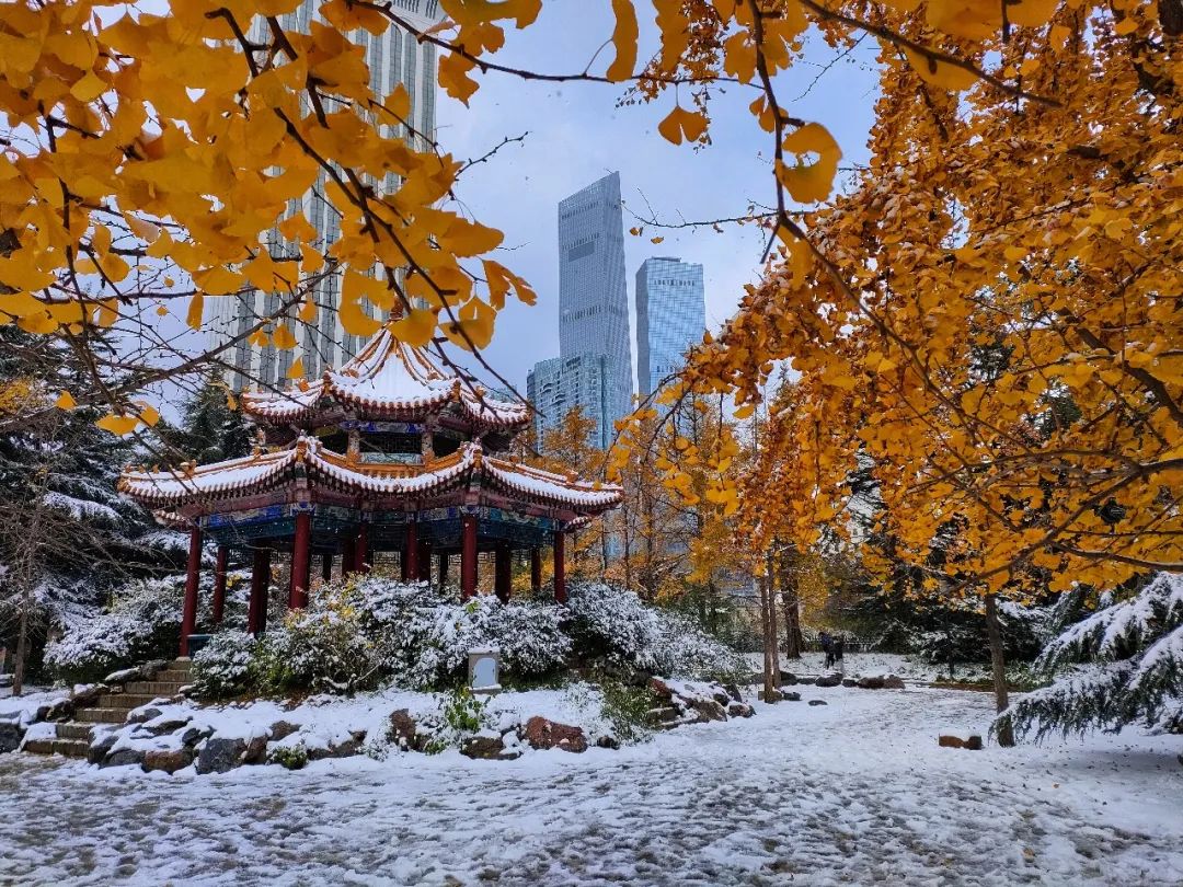 秋与冬的相遇，大连下雪了