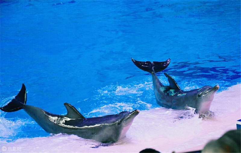 三天三夜欢乐长隆之旅（附攻略）