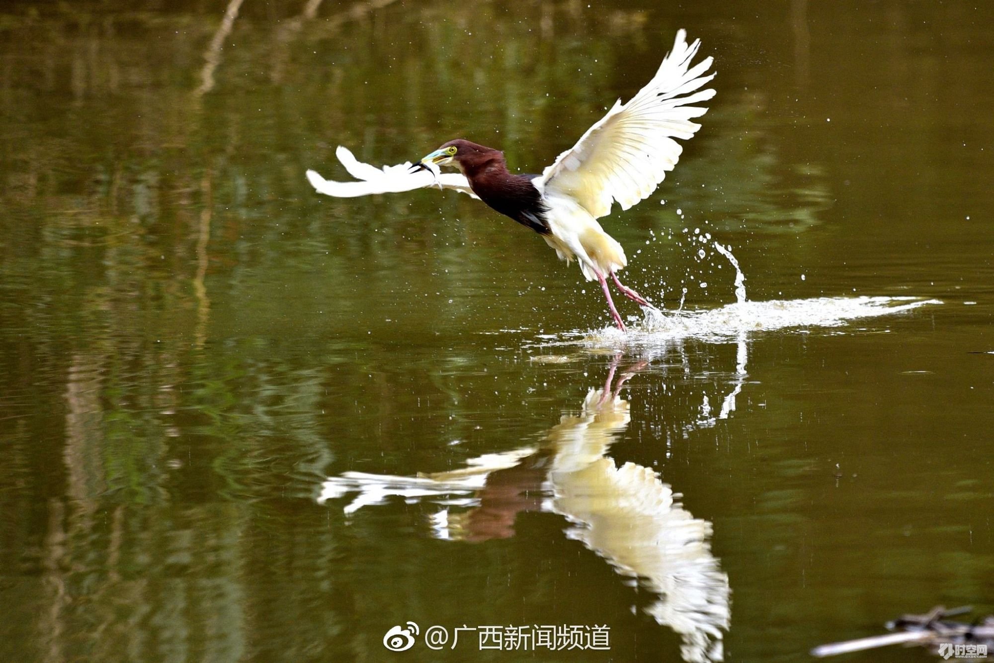 家住埌西有点小得意
