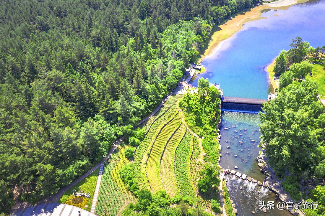 2020盛夏自驾游长白山，地球人都知道的避暑圣地，是中国爱情圣山