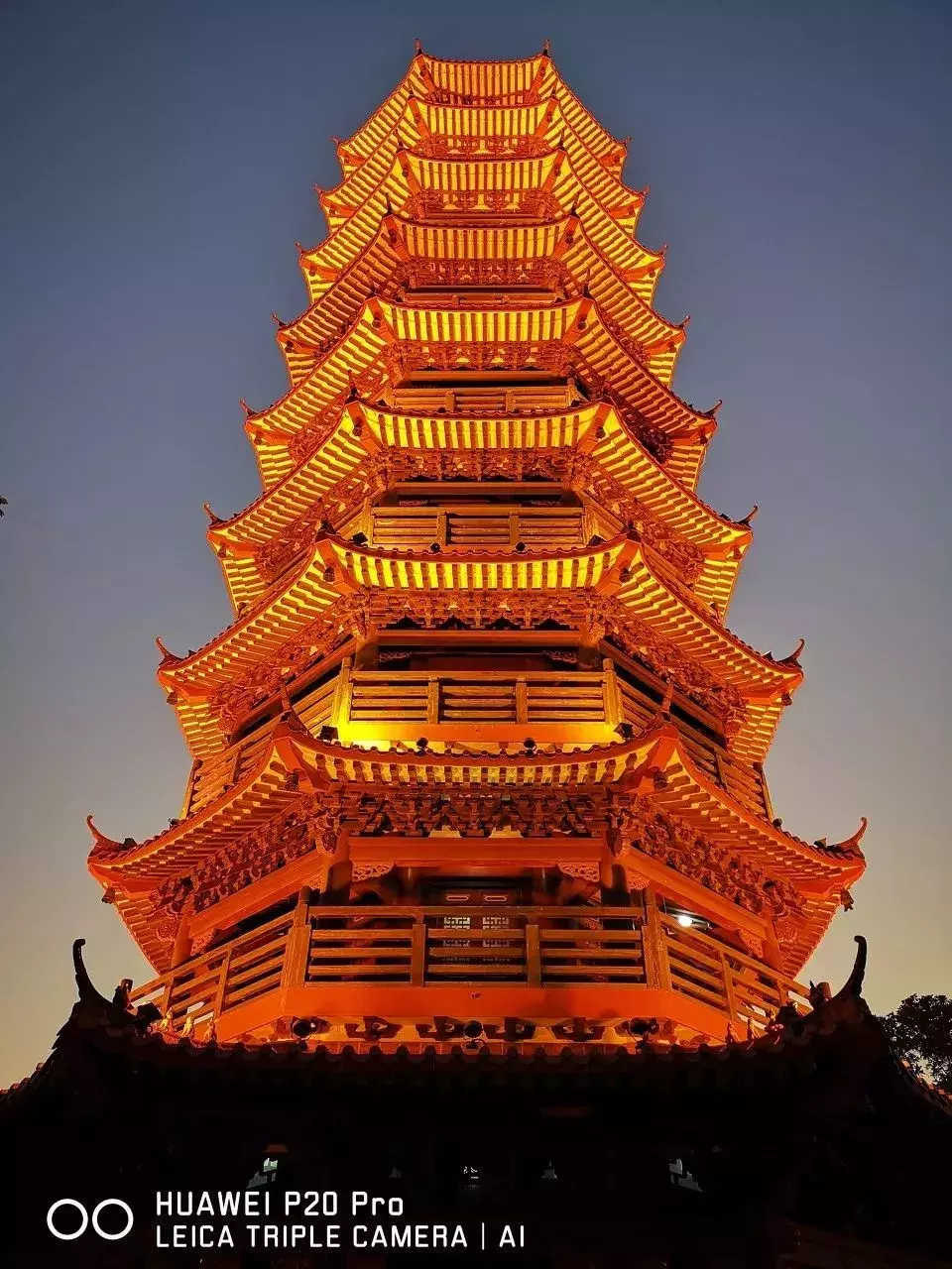 深圳红花山公园儿童乐园开放啦!附游玩指南