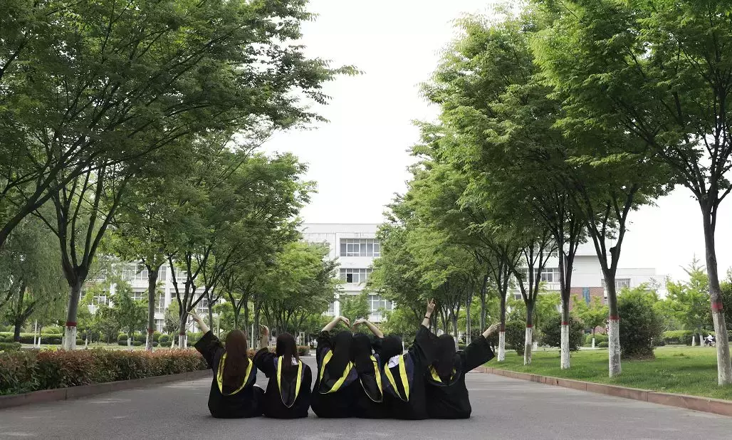 考研过线率80% ？ “山东省优秀班集体” ？怎么临大这个班级这么优秀！