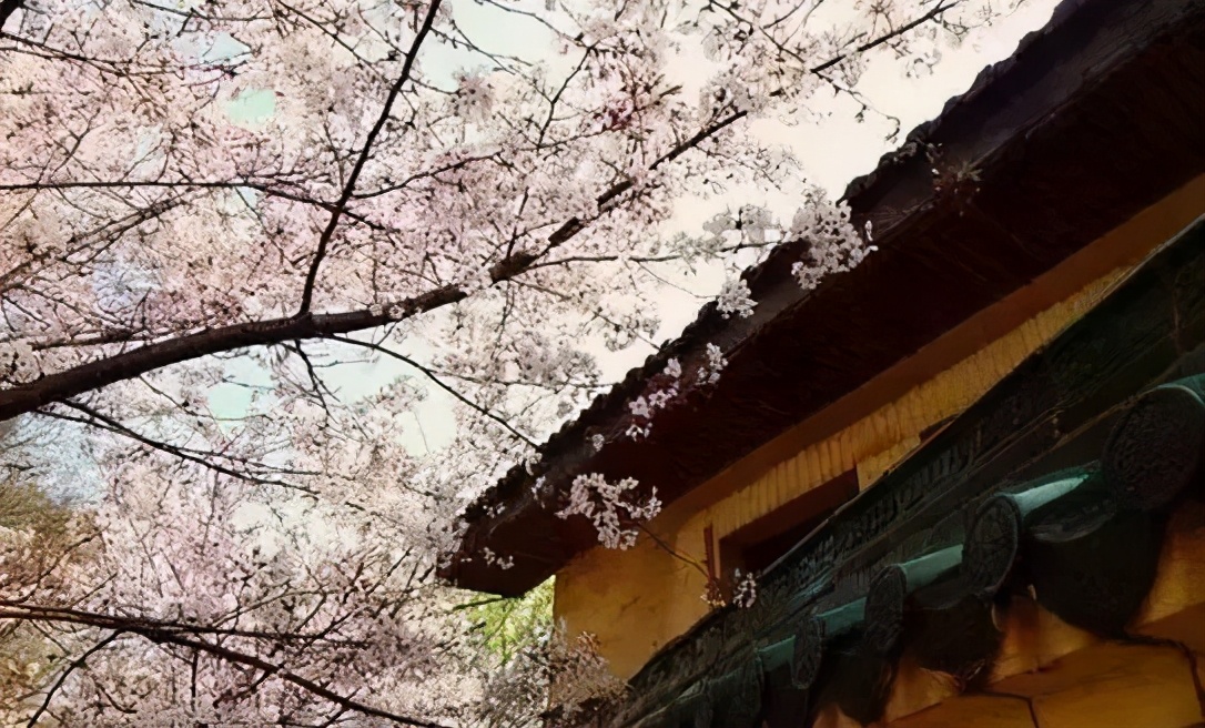 坚持到底的故事(为什么工资低还有人做)