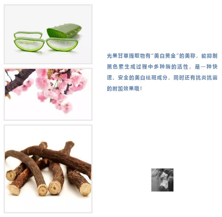 快速全身美白产品哪个牌子效果好（美白身体乳效果好的护肤产品）