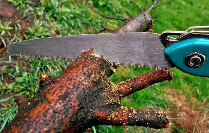 野外生存必带的11种工具，老猎人教你野外求生