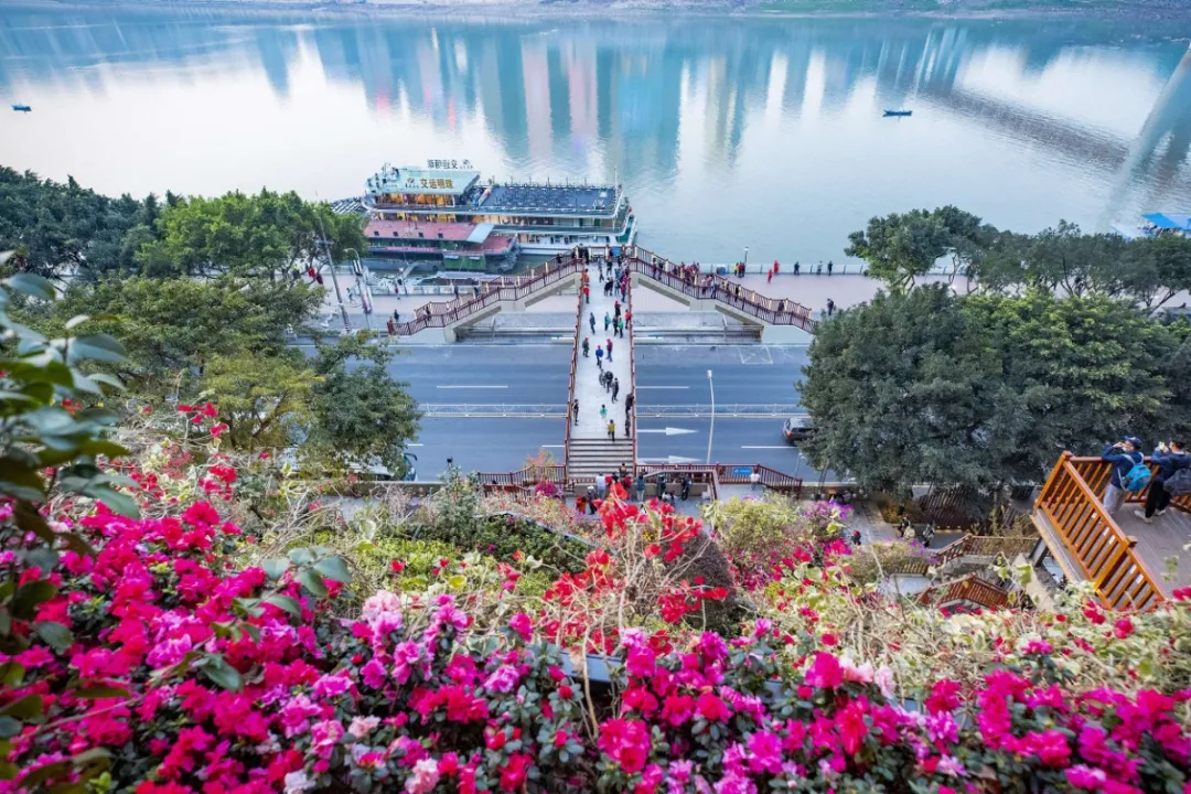 清明节去哪玩？重庆这些地方值得去踏青