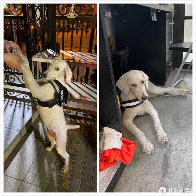 胡侃侃的年货节，精品男士九款值物推荐