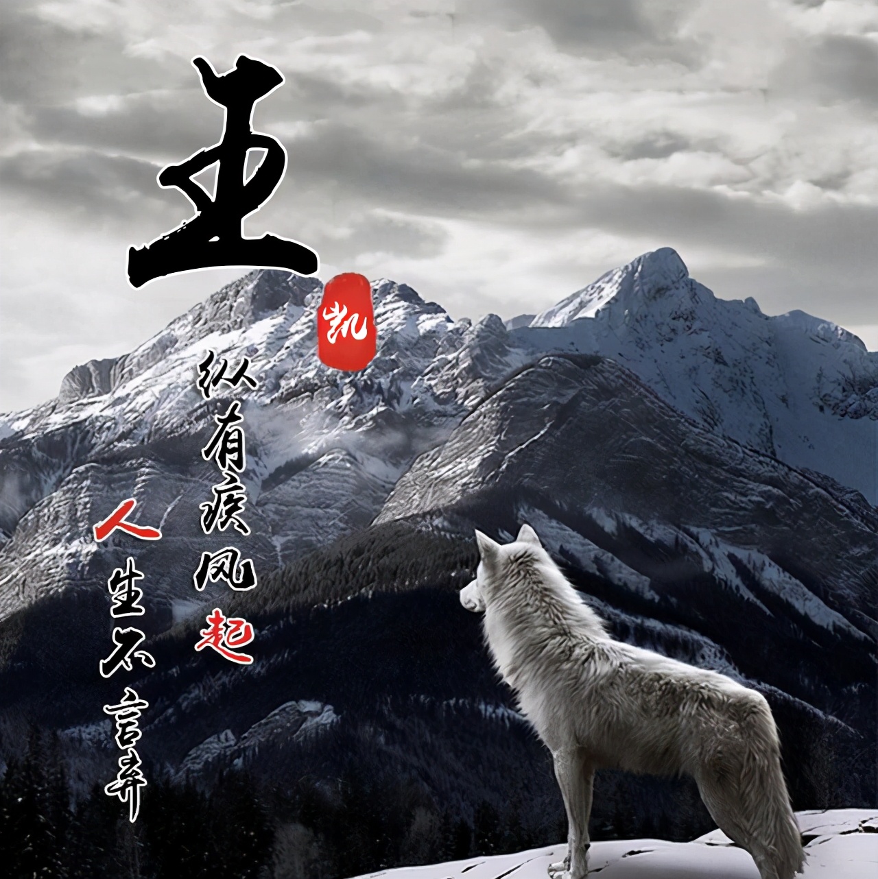 2022霸气虎励志个性签名微信头像,喜欢的请带走本期主题:每天更新创意