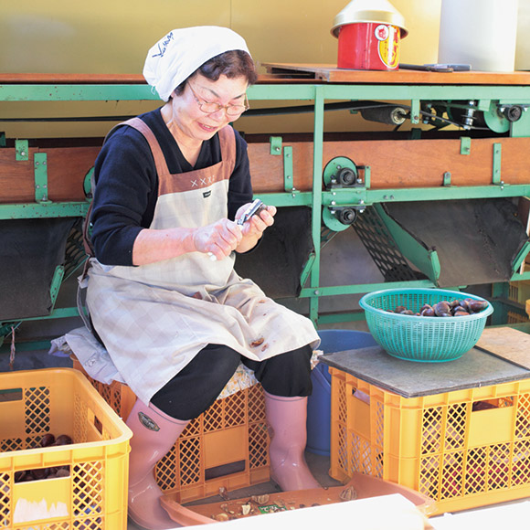 沐夏生活美学｜长谷川弓子在《大栗子》树下