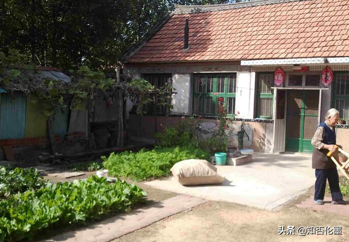 农村有个院子,"加工"什么利润大,销路好?这两个项目值得考虑