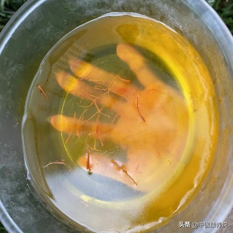 #药食同源篇#第八十课“植物黄金”藏红花