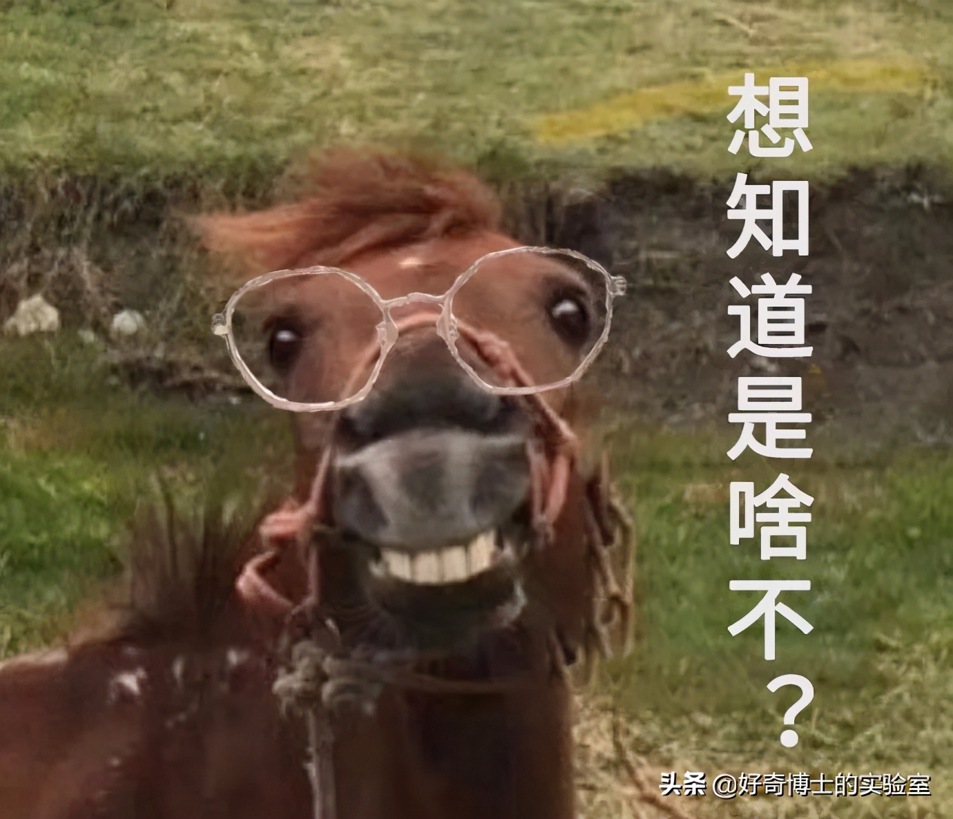 11个奇奇怪怪的隐藏玩法（含撩妹教程）