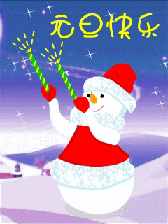 Happy  New  Year！新年快乐！