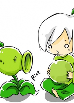 《植物大战僵尸》壁纸