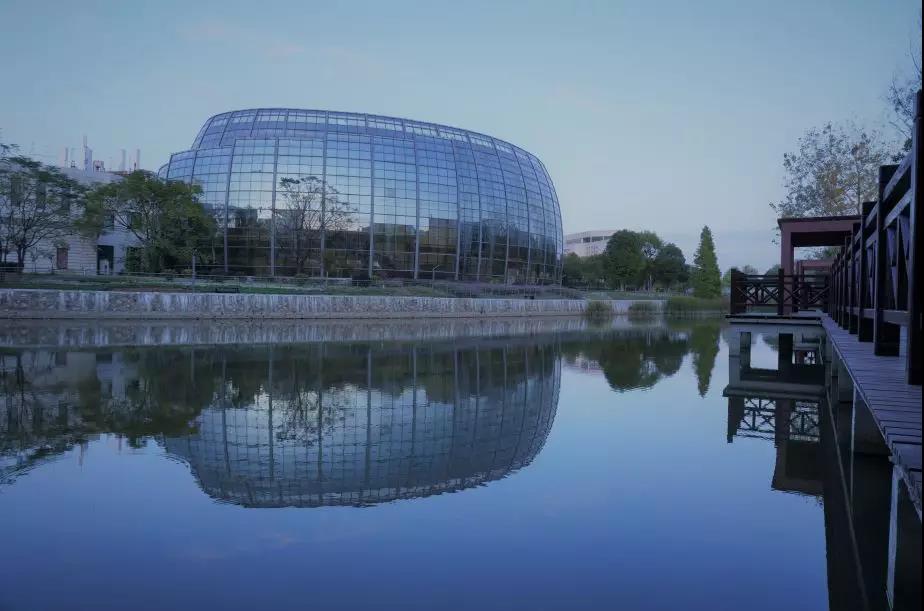 湖北省政府肯定！武汉这所高校成功引进国家级专家