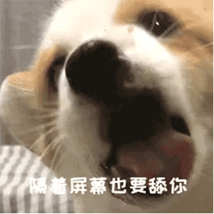 舔狗表情包gif图合集｜让我做姐姐的舔狗