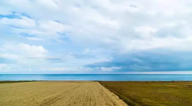 有一种多情，叫做青海湖