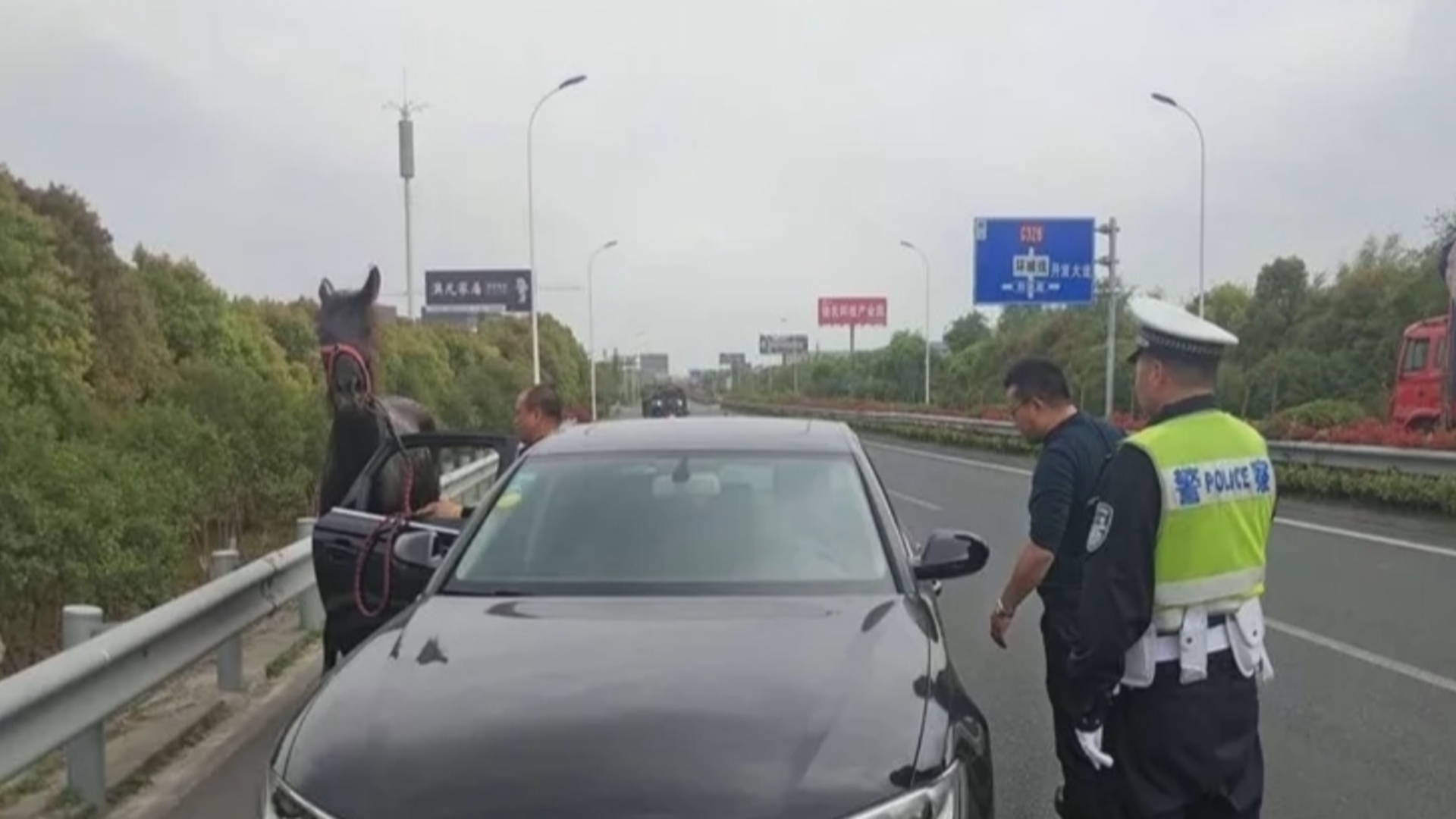 南通 ：马路上奥迪溜“宝马”， 交警拦停问真相！