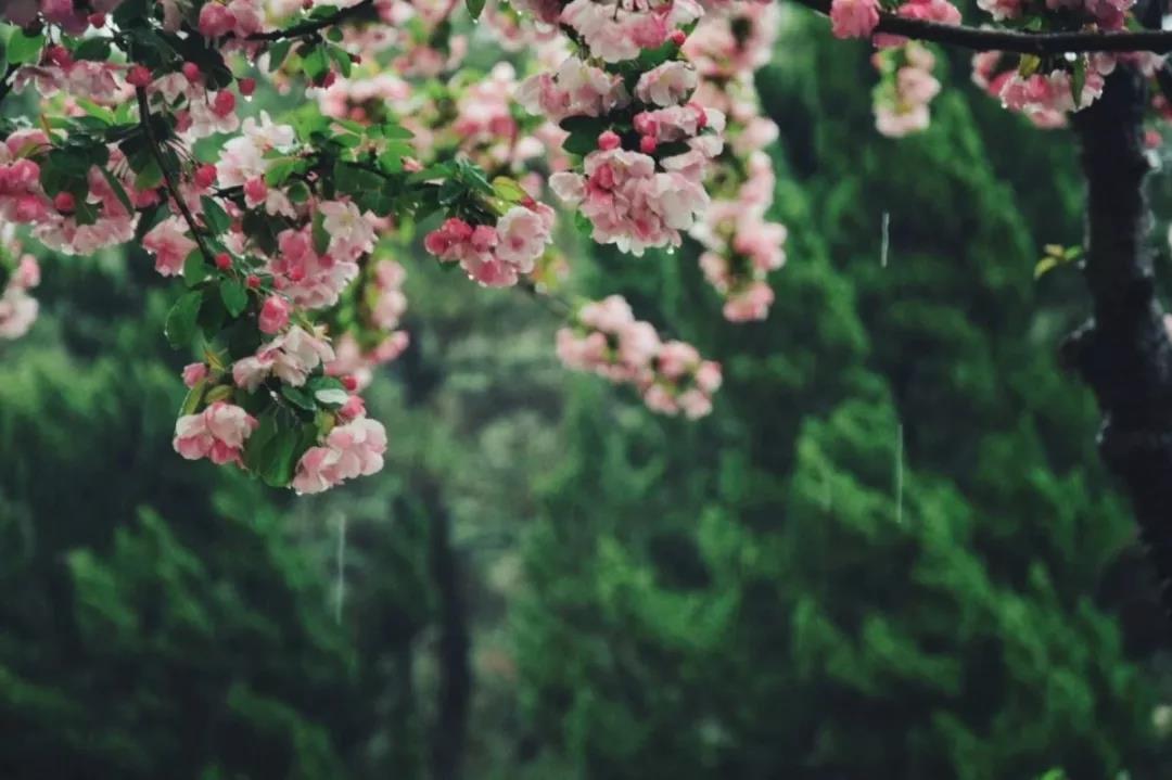 高清曝光！坐拥神仙颜值，山东最美“校花”就在这所大学里！