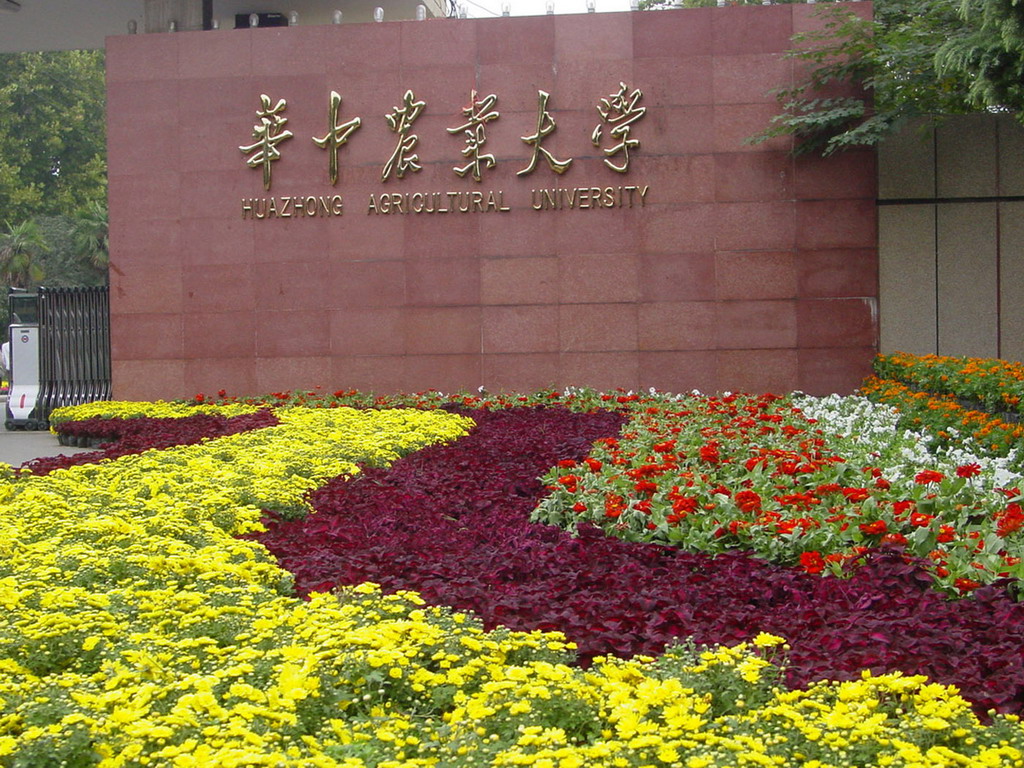 全国承认艺术类专业统考成绩的985/211院校最全汇总