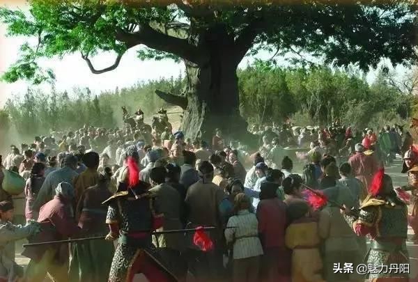 菏泽市开发区史话之十八  溯源“大槐树”，铭记“老鹳窝”  ——亿万中国人的血脉密码和移民情结