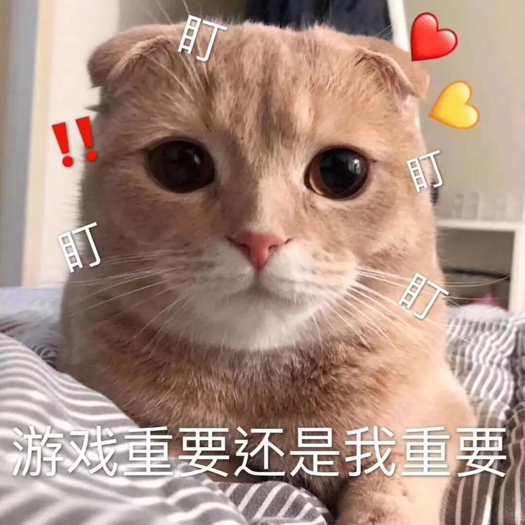 撒娇专用的猫咪表情包给你个机会偷亲我