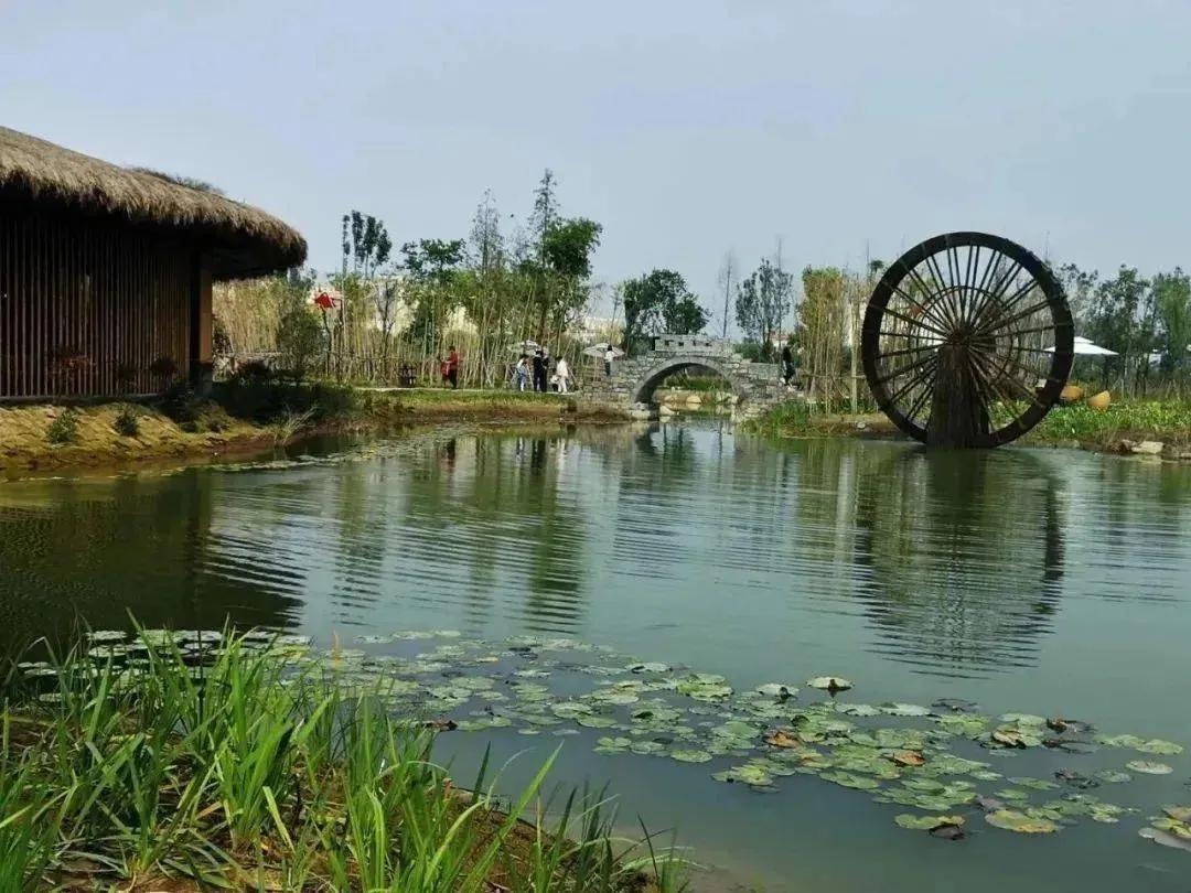 「庆国庆」涡阳精彩文体活动来袭，接住