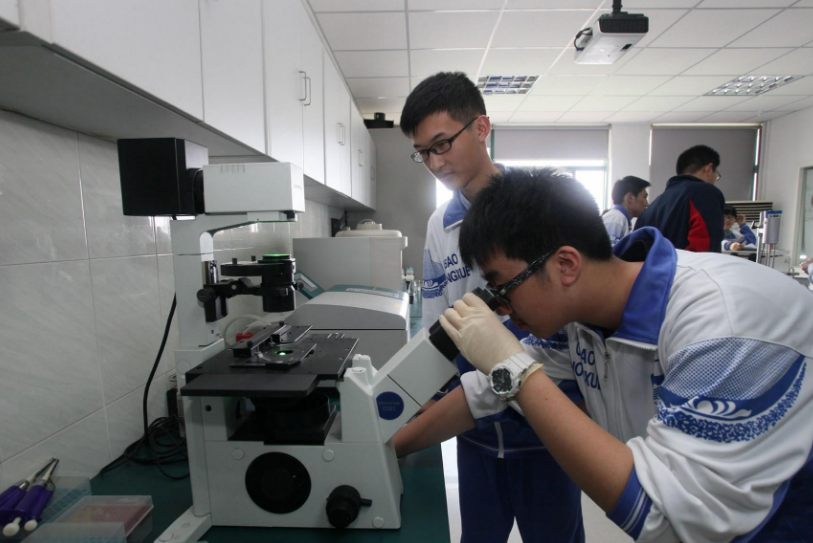 女状元高考658分，港大承诺72万奖学金，选择复读为哪般？