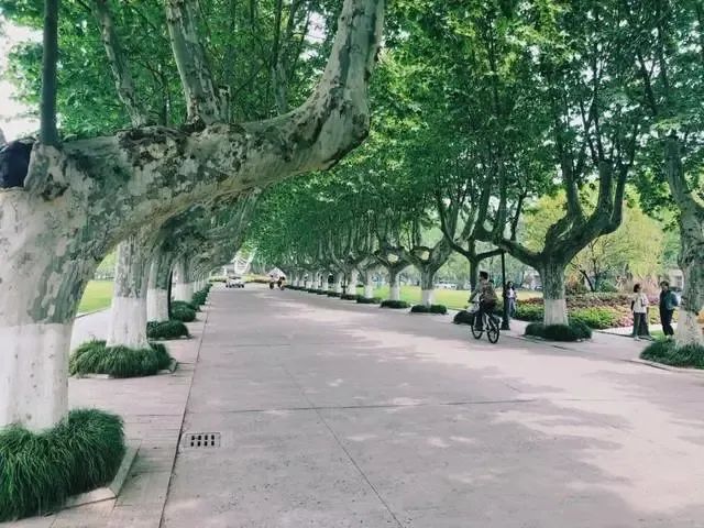 报了！扬州大学