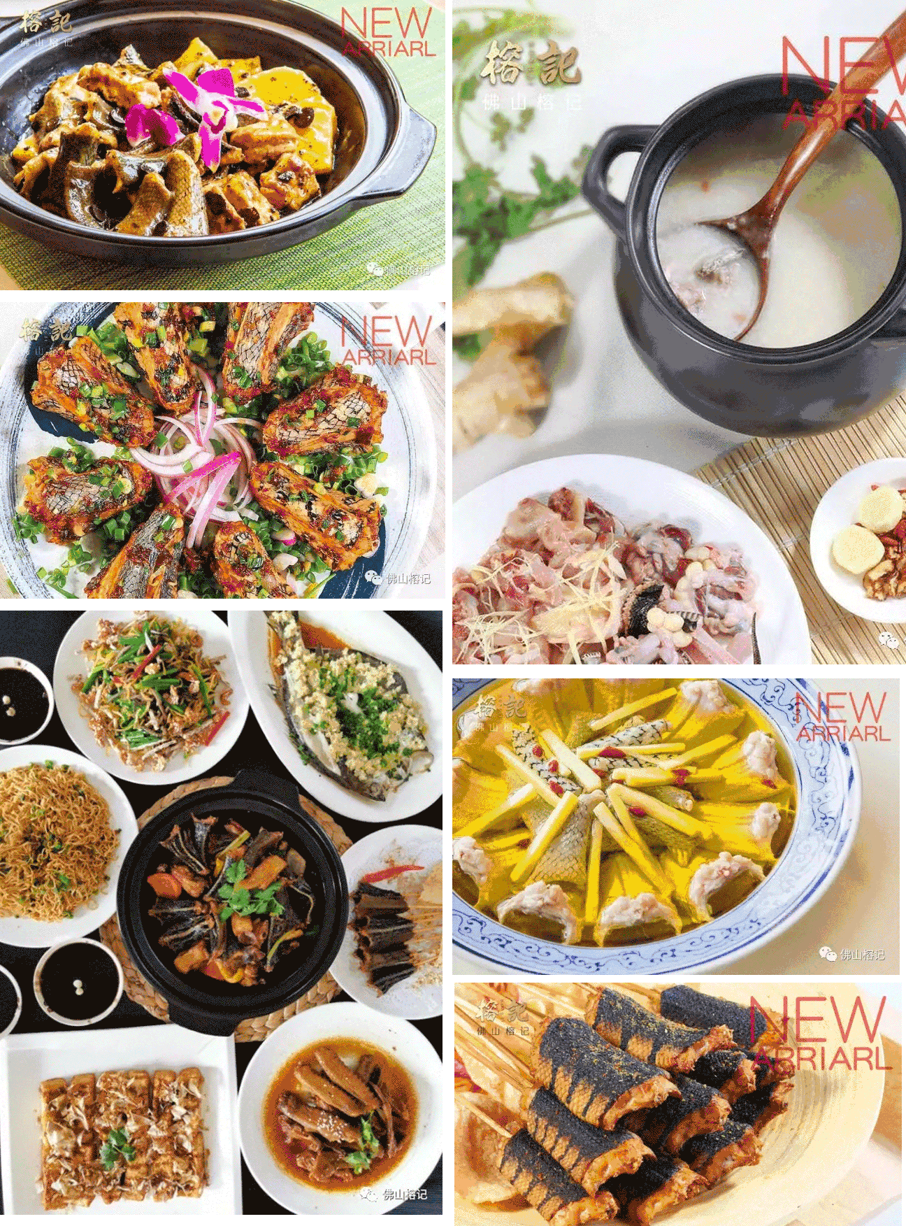 水律蛇/翻山58元斤！佛山吃蛇名店依靠平靓正出品，深得人心