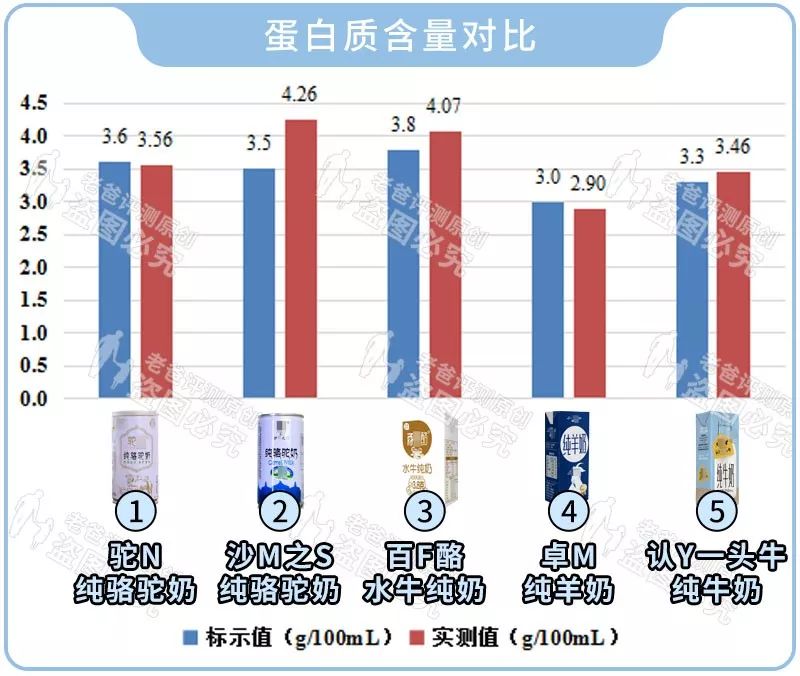 听说水牛奶骆驼奶，比普通牛奶羊奶更好？真相是这样的...